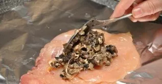 Uždėkite filė ant folijos. Ant kiekvieno gabalėlio dėkite grybų įdaro. Suvyniokite foliją į 