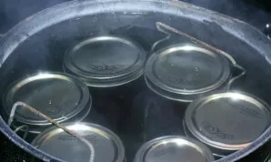 Stiklainius užsuku dangteliais. Ant didelio puodo dugno uždedu rankšluostį, pripilu vandens, užkaitinu vandenį ir sudedu stiklainius, vir...