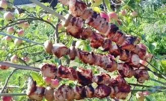 Šašlykai citrinų ir svogūnų marinate