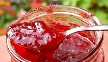 Slyvų uogienė be virimo